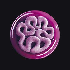 MOLDE SILICONA TORTA TOP15 JALEA