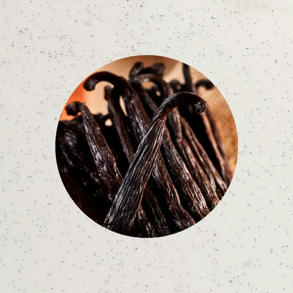 5UN VAINAS DE VAINILLA DE MADAGASCAR