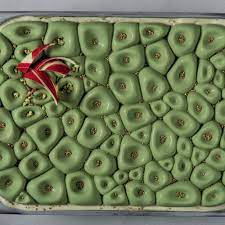 [PAV-TOP102] MOLDE SILICONA TORTA TOP102 CORAL HELADO