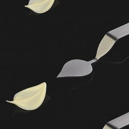 [PAV-CH3] FLYCHOC CH3