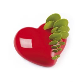 [PAV-KE017] MOLDE SILICONA TORTA PAVOCAKE KE017 INSERT PASSION
