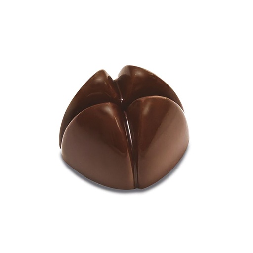 [PAV-PC65] MOLDE BOMBONES BACHOUR PC65