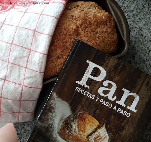 [VIL-024-ZIG] PAN RECETAS PASO A PASO - Francisca Leyton